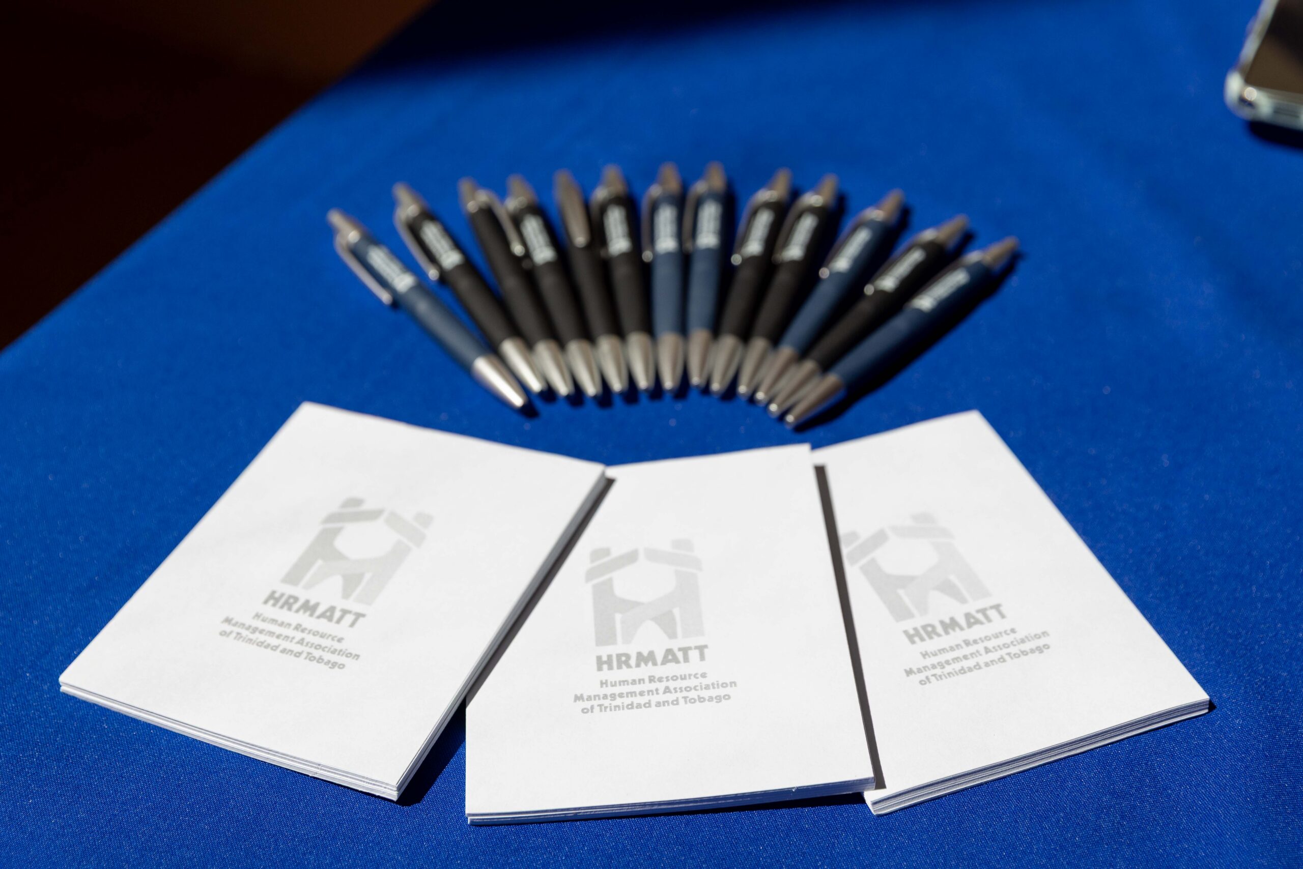 HRMATT mentorship launch event