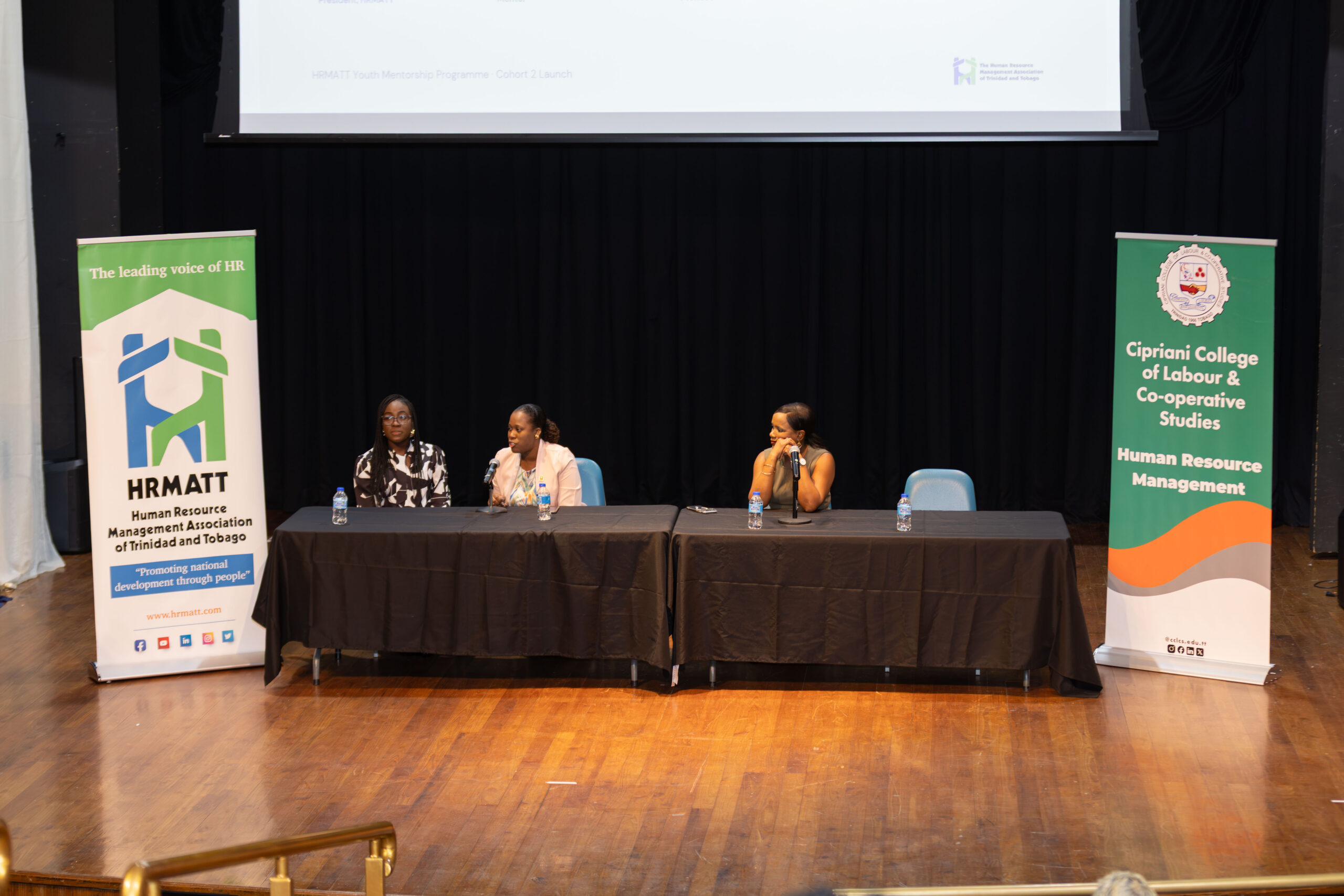 Mentorship networking and professional connections
